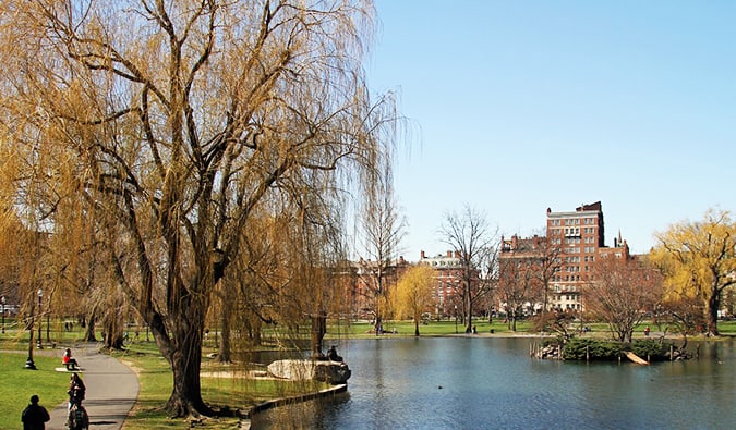 The trees and water near Boston's Public Gardens on a summer day