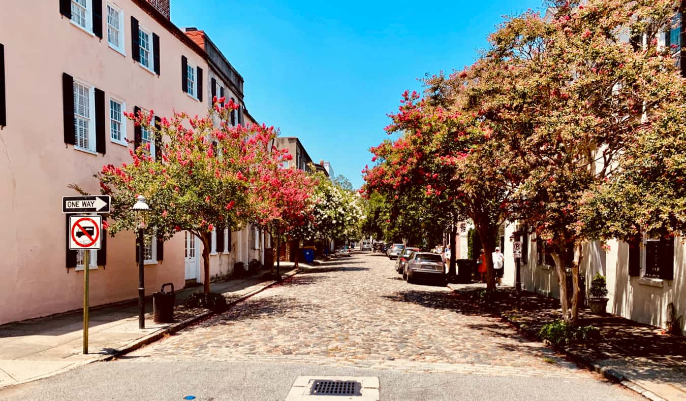 A quiet side street lined by trees in Charleston, USA