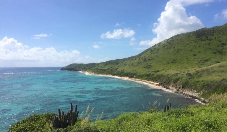 The bright blue waters and lush hillside of the Virgin Islands in the Caribbean