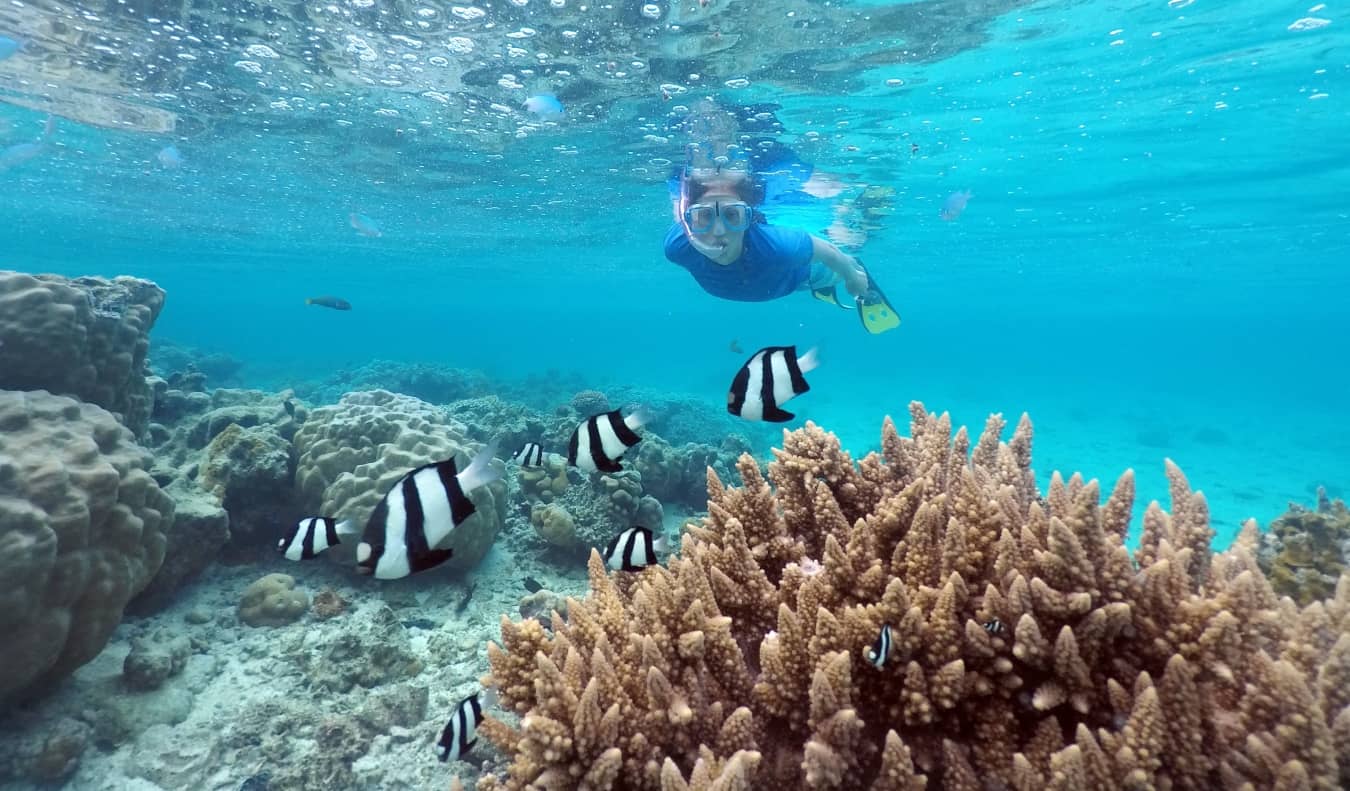 Person snorkeling in the Cook Islands