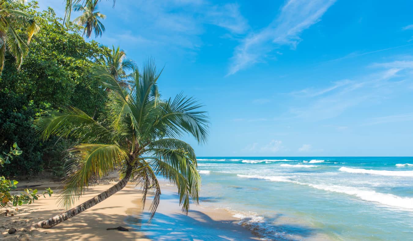 The beautiful coastline of Puerto Viejo, Costa Rica with a wide, sandy beach stretching along the jungle