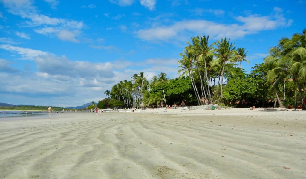 A gorgeous, empty beach along the stunning coast of Costa Rica, with lush trees nearby