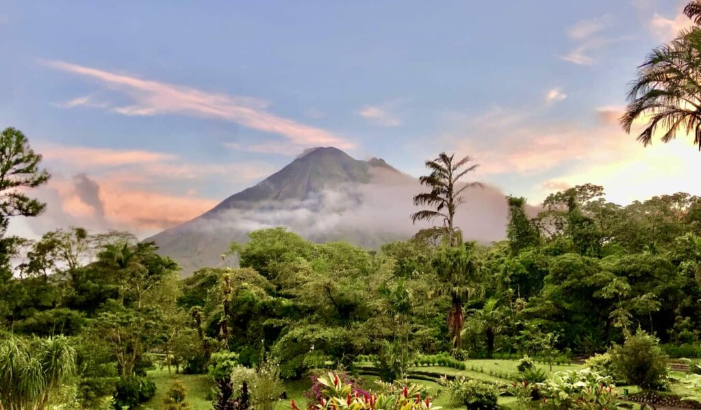 A lush, green jungle in Costa Rica near Arenal