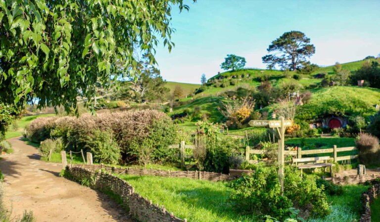 The lush, rolling hills of Hobbiton, in sunny New Zealand