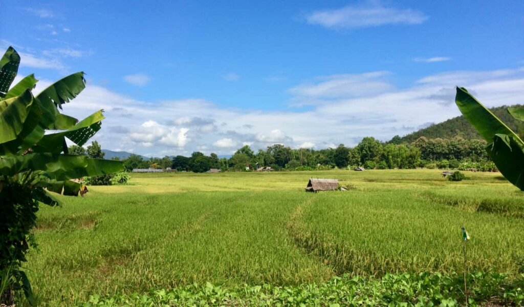 The lush and green countryside of beautiful Laos in Southeast Asia