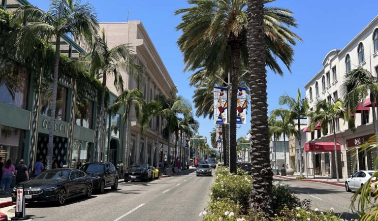 A street in Beverley Hills in Los Angeles with palm trees and expensive shops lining the streets