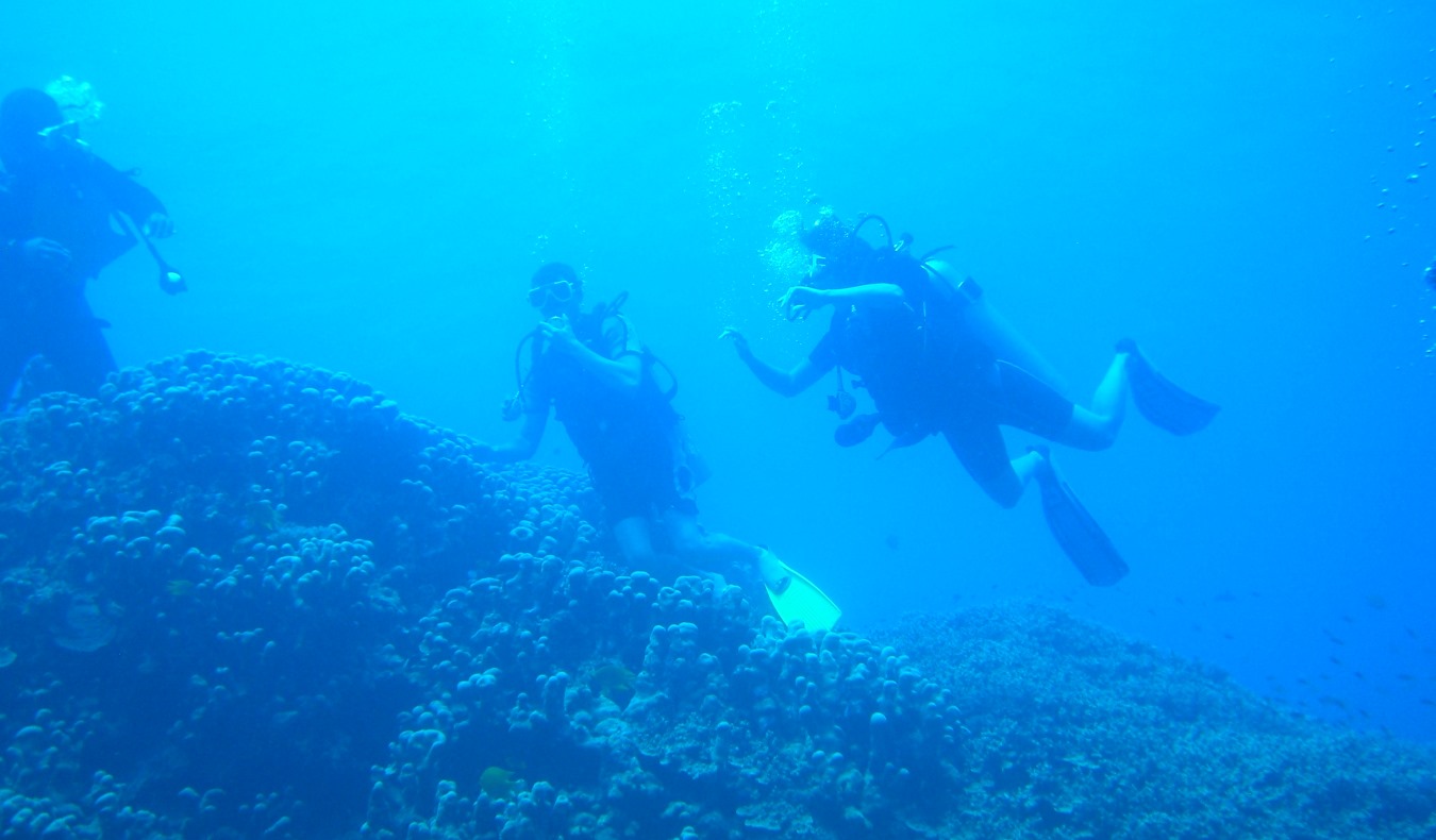 A pair of scuba divers in the deep blue of the ocean