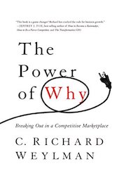 book cover of The Power of Why