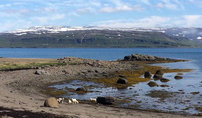 The beautiful lakes and mountains of the Westfjords in Iceland